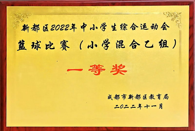 2022年11月中小學生綜合運動會籃球比賽(小學混合乙組)：一等獎